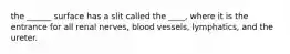 the ______ surface has a slit called the ____, where it is the entrance for all renal nerves, blood vessels, lymphatics, and the ureter.
