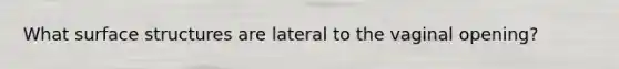 What surface structures are lateral to the vaginal opening?