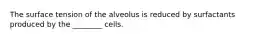 The surface tension of the alveolus is reduced by surfactants produced by the ________ cells.