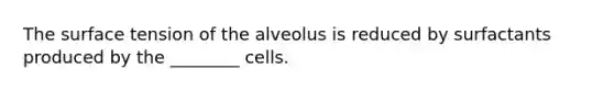 The surface tension of the alveolus is reduced by surfactants produced by the ________ cells.