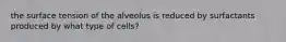 the surface tension of the alveolus is reduced by surfactants produced by what type of cells?