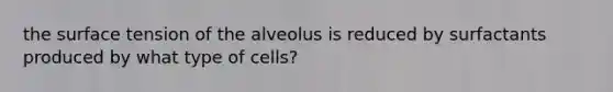 the surface tension of the alveolus is reduced by surfactants produced by what type of cells?