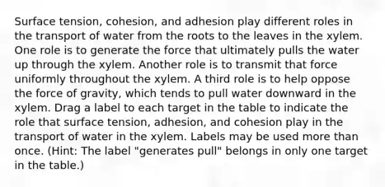 Surface tension, cohesion, and adhesion play different roles in the transport of water from the roots to the leaves in the xylem. One role is to generate the force that ultimately pulls the water up through the xylem. Another role is to transmit that force uniformly throughout the xylem. A third role is to help oppose the force of gravity, which tends to pull water downward in the xylem. Drag a label to each target in the table to indicate the role that surface tension, adhesion, and cohesion play in the transport of water in the xylem. Labels may be used more than once. (Hint: The label "generates pull" belongs in only one target in the table.)