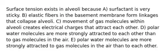 Surface tension exists in alveoli because A) surfactant is very sticky. B) elastic fibers in the basement membrane form linkages that collapse alveoli. C) movement of gas molecules within alveoli creates electrical charges that attract each other. D) polar water molecules are more strongly attracted to each other than to gas molecules in the air. E) polar water molecules are more strongly attracted to gas molecules in the air than to each other.