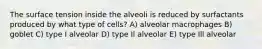 The surface tension inside the alveoli is reduced by surfactants produced by what type of cells? A) alveolar macrophages B) goblet C) type I alveolar D) type Il alveolar E) type Ill alveolar