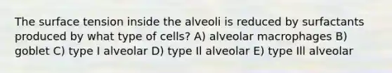 The surface tension inside the alveoli is reduced by surfactants produced by what type of cells? A) alveolar macrophages B) goblet C) type I alveolar D) type Il alveolar E) type Ill alveolar