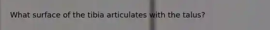 What surface of the tibia articulates with the talus?