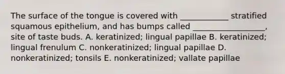 The surface of the tongue is covered with ____________ stratified squamous epithelium, and has bumps called __________________, site of taste buds. A. keratinized; lingual papillae B. keratinized; lingual frenulum C. nonkeratinized; lingual papillae D. nonkeratinized; tonsils E. nonkeratinized; vallate papillae