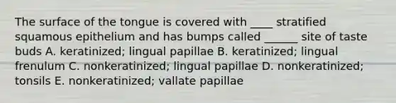 The surface of the tongue is covered with ____ stratified squamous epithelium and has bumps called ______ site of taste buds A. keratinized; lingual papillae B. keratinized; lingual frenulum C. nonkeratinized; lingual papillae D. nonkeratinized; tonsils E. nonkeratinized; vallate papillae