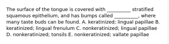 The surface of the tongue is covered with __________ stratified squamous epithelium, and has bumps called __________, where many taste buds can be found. A. keratinized; lingual papillae B. keratinized; lingual frenulum C. nonkeratinized; lingual papillae D. nonkeratinized; tonsils E. nonkeratinized; vallate papillae