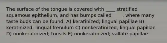 The surface of the tongue is covered with ____ stratified squamous epithelium, and has bumps called ____, where many taste buds can be found. A) keratinized; lingual papillae B) keratinized; lingual frenulum C) nonkeratinized; lingual papillae D) nonkeratinized; tonsils E) nonkeratinized; vallate papillae