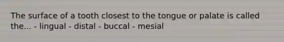 The surface of a tooth closest to the tongue or palate is called the... - lingual - distal - buccal - mesial