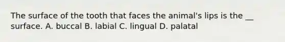 The surface of the tooth that faces the animal's lips is the __ surface. A. buccal B. labial C. lingual D. palatal