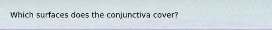 Which surfaces does the conjunctiva cover?
