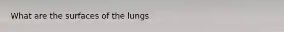 What are the surfaces of the lungs