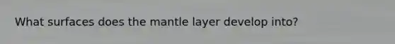 What surfaces does <a href='https://www.questionai.com/knowledge/kHR4HOnNY8-the-mantle' class='anchor-knowledge'>the mantle</a> layer develop into?