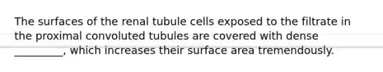 The surfaces of the renal tubule cells exposed to the filtrate in the proximal convoluted tubules are covered with dense _________, which increases their surface area tremendously.