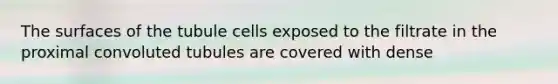 The surfaces of the tubule cells exposed to the filtrate in the proximal convoluted tubules are covered with dense