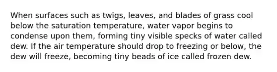 When surfaces such as twigs, leaves, and blades of grass cool below the saturation temperature, water vapor begins to condense upon them, forming tiny visible specks of water called dew. If the air temperature should drop to freezing or below, the dew will freeze, becoming tiny beads of ice called frozen dew.