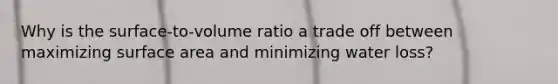 Why is the surface-to-volume ratio a trade off between maximizing surface area and minimizing water loss?