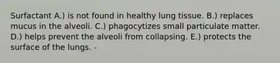 Surfactant A.) is not found in healthy lung tissue. B.) replaces mucus in the alveoli. C.) phagocytizes small particulate matter. D.) helps prevent the alveoli from collapsing. E.) protects the surface of the lungs. -