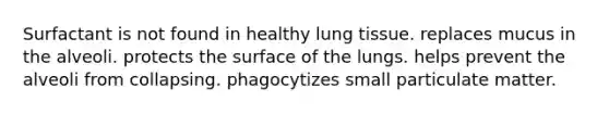 Surfactant is not found in healthy lung tissue. replaces mucus in the alveoli. protects the surface of the lungs. helps prevent the alveoli from collapsing. phagocytizes small particulate matter.