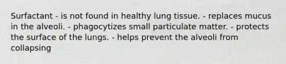 Surfactant - is not found in healthy lung tissue. - replaces mucus in the alveoli. - phagocytizes small particulate matter. - protects the surface of the lungs. - helps prevent the alveoli from collapsing