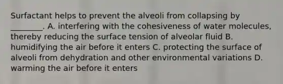 Surfactant helps to prevent the alveoli from collapsing by ________. A. interfering with the cohesiveness of water molecules, thereby reducing the surface tension of alveolar fluid B. humidifying the air before it enters C. protecting the surface of alveoli from dehydration and other environmental variations D. warming the air before it enters