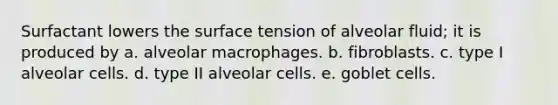 Surfactant lowers the surface tension of alveolar fluid; it is produced by a. alveolar macrophages. b. fibroblasts. c. type I alveolar cells. d. type II alveolar cells. e. goblet cells.