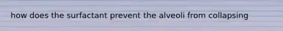 how does the surfactant prevent the alveoli from collapsing