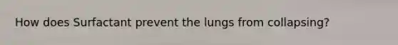 How does Surfactant prevent the lungs from collapsing?