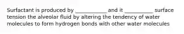 Surfactant is produced by ____________ and it ___________ surface tension the alveolar fluid by altering the tendency of water molecules to form hydrogen bonds with other water molecules