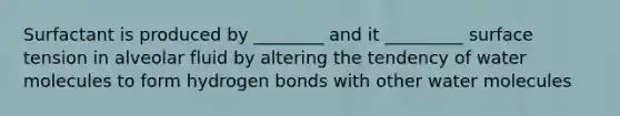 Surfactant is produced by ________ and it _________ surface tension in alveolar fluid by altering the tendency of water molecules to form hydrogen bonds with other water molecules