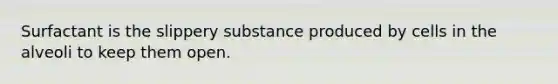 Surfactant is the slippery substance produced by cells in the alveoli to keep them open.