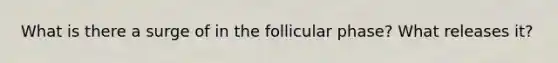 What is there a surge of in the follicular phase? What releases it?