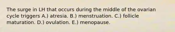 The surge in LH that occurs during the middle of the ovarian cycle triggers A.) atresia. B.) menstruation. C.) follicle maturation. D.) ovulation. E.) menopause.