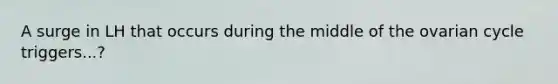 A surge in LH that occurs during the middle of the ovarian cycle triggers...?