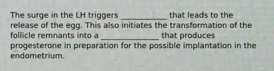 The surge in the LH triggers ____________ that leads to the release of the egg. This also initiates the transformation of the follicle remnants into a _______________ that produces progesterone in preparation for the possible implantation in the endometrium.