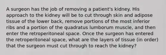 A surgeon has the job of removing a patient's kidney. His approach to the kidney will be to cut through skin and adipose tissue of the lower back, remove portions of the most inferior ribs and a portion of the quadratus lumborum muscle, and then enter the retroperitoneal space. Once the surgeon has entered the retroperitoneal space, what are the layers of tissue (in order) that the surgeon must cut through to reach the kidney?