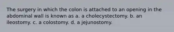 The surgery in which the colon is attached to an opening in the abdominal wall is known as a. a cholecystectomy. b. an ileostomy. c. a colostomy. d. a jejunostomy.