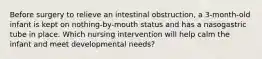 Before surgery to relieve an intestinal obstruction, a 3-month-old infant is kept on nothing-by-mouth status and has a nasogastric tube in place. Which nursing intervention will help calm the infant and meet developmental needs?