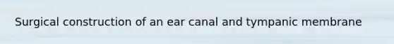 Surgical construction of an ear canal and tympanic membrane