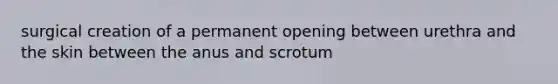 surgical creation of a permanent opening between urethra and the skin between the anus and scrotum