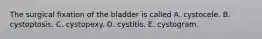 The surgical fixation of the bladder is called A. cystocele. B. cystoptosis. C. cystopexy. D. cystitis. E. cystogram.