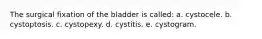 The surgical fixation of the bladder is called: a. cystocele. b. cystoptosis. c. cystopexy. d. cystitis. e. cystogram.