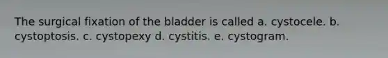 The surgical fixation of the bladder is called a. cystocele. b. cystoptosis. c. cystopexy d. cystitis. e. cystogram.