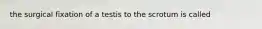 the surgical fixation of a testis to the scrotum is called
