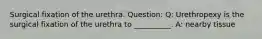 Surgical fixation of the urethra. Question: Q: Urethropexy is the surgical fixation of the urethra to __________. A: nearby tissue