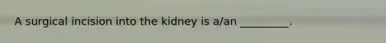 A surgical incision into the kidney is a/an _________.