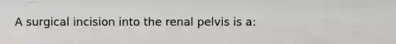 A surgical incision into the renal pelvis is a: